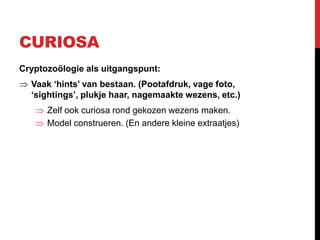CURIOSA
Cryptozoölogie als uitgangspunt:
  Vaak ‘hints’ van bestaan. (Pootafdruk, vage foto,
  ‘sightings’, plukje haar, nagemaakte wezens, etc.)
      Zelf ook curiosa rond gekozen wezens maken.
      Model construeren. (En andere kleine extraatjes)
 
