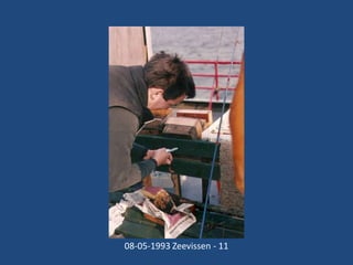 08-05-1993 Zeevissen - 11

 