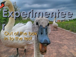Experimenteer Out of the box in to the test 