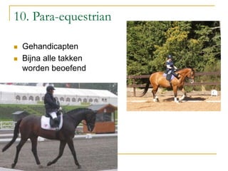 10. Para-equestrian
 Gehandicapten
 Bijna alle takken
worden beoefend
 