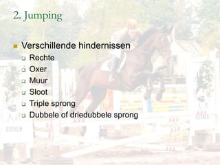 2. Jumping
 Verschillende hindernissen
 Rechte
 Oxer
 Muur
 Sloot
 Triple sprong
 Dubbele of driedubbele sprong
 