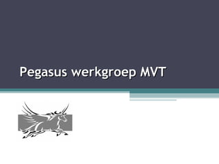 Pegasus werkgroep MVT 
