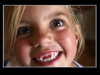 Pecha Kucha Slideshow