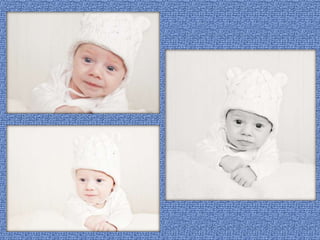 semmeke's foto presentatie