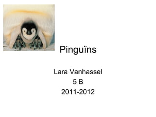 Pinguïns

Lara Vanhassel
      5B
  2011-2012
 