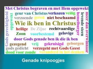 Genade knipoogjes
 