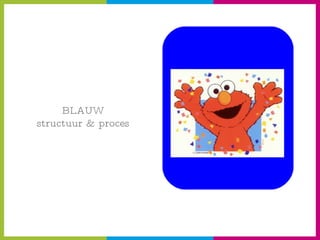 BLAUW structuur & proces 
