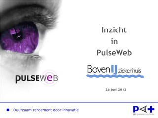 Inzicht
                                        in
                                    PulseWeb



                                      26 juni 2012




Duurzaam rendement door innovatie
 