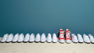 Wat is het?
Onderscheidend vermogen
 