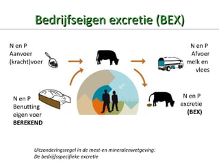 Bedrijfseigen excretie (BEX) N en P  Aanvoer (kracht)voer N en P  Afvoer melk en  vlees N en P  Benutting eigen voer BEREKEND N en P  excretie (BEX) Uitzonderingsregel in de mest-en mineralenwetgeving:  De bedrijfsspecifieke excretie 