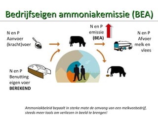 Bedrijfseigen ammoniakemissie (BEA) N en P  Aanvoer (kracht)voer N en P  Afvoer melk en  vlees N en P  Benutting eigen voer BEREKEND Ammoniakbeleid bepaalt in sterke mate de omvang van een melkveebedrijf, steeds meer tools om verliezen in beeld te brengen! N en P  emissie (BEA) 