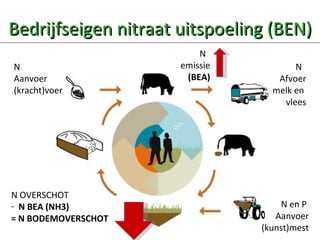 Bedrijfseigen nitraat uitspoeling (BEN) N  Aanvoer (kracht)voer N  Afvoer melk en  vlees N OVERSCHOT N BEA (NH3) = N BODEMOVERSCHOT N  emissie (BEA) N en P  Aanvoer (kunst)mest 