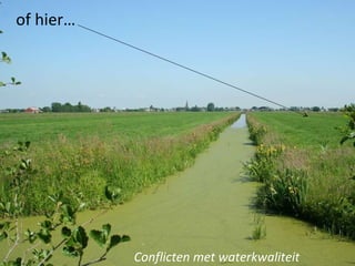 of hier… Conflicten met waterkwaliteit 