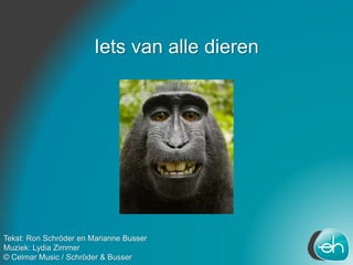 Iets van alle dieren
Tekst: Ron Schröder en Marianne Busser
Muziek: Lydia Zimmer
© Celmar Music / Schröder & Busser
 