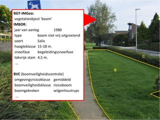BGT-IMGeo:
vegetatieobject ‘boom’
IMBOR:
jaar van aanleg 1980
type boom niet vrij uitgroeiend
soort Salix
hoogteklasse 15-18 m.
snoeifase begeleidingssnoeifase
takvrije stam 4,5 m.
…
BVC (boomveiligheidscontrole)
omgevingsrisicoklasse gemiddeld
boomveiligheidsklasse risicoboom
boomgebreken wilgenhoutrups
…
70
 