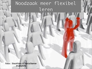 Foto: Stockfoto © Genialbaron
#12652578
Noodzaak meer flexibel
leren
 