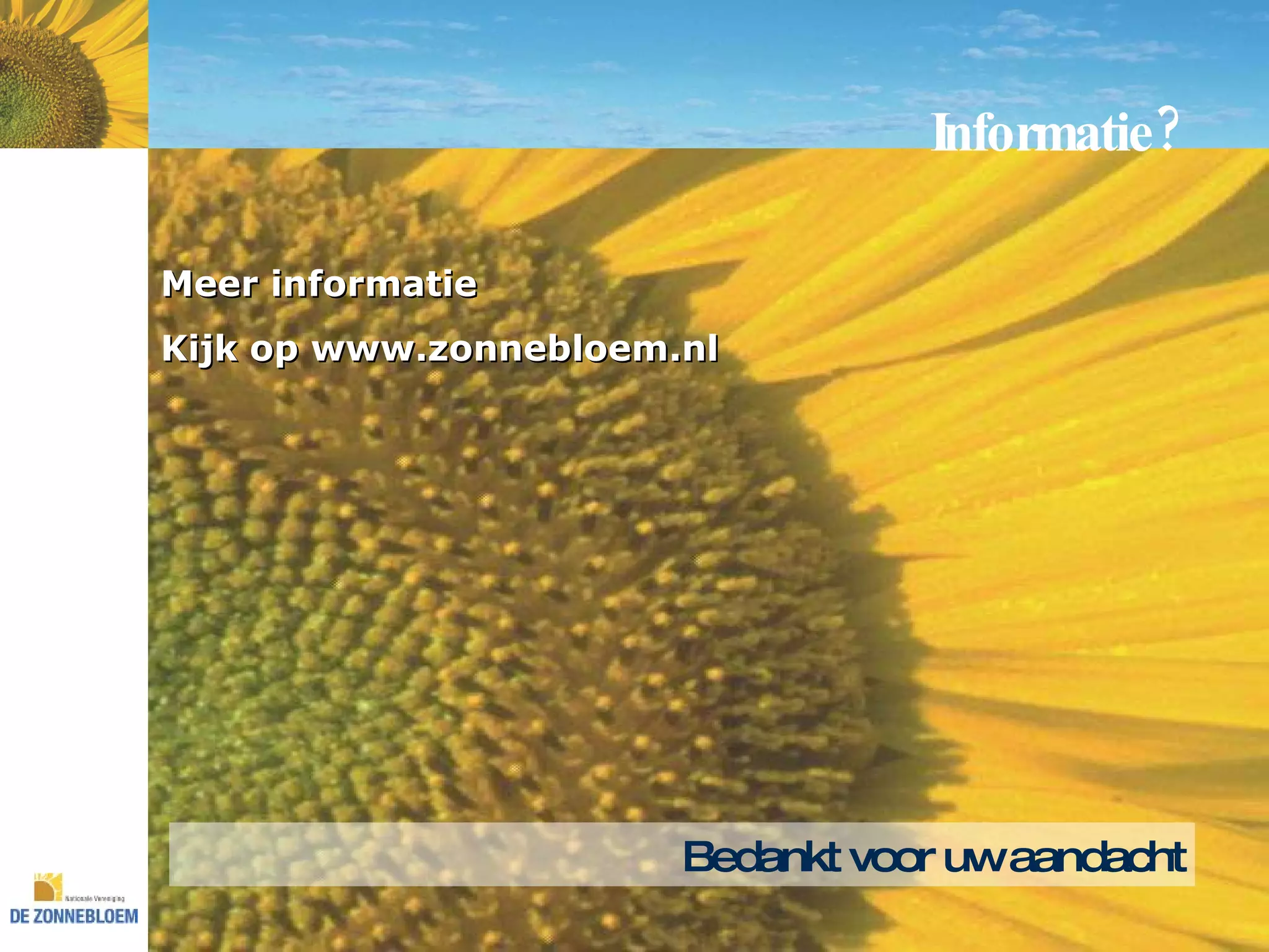 Zonnebloem: presentatie algemene informatie | PPT
