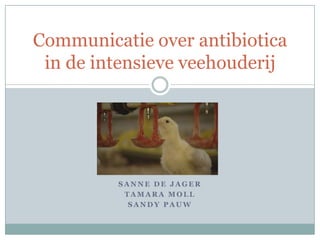 Communicatie over antibiotica
 in de intensieve veehouderij




         SANNE DE JAGER
          TAMARA MOLL
           SANDY PAUW
 