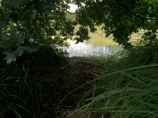 Herkenning?	
Uitnodiging	
	
[refugio]
	
Waarom	dit	verhaal	van		
 