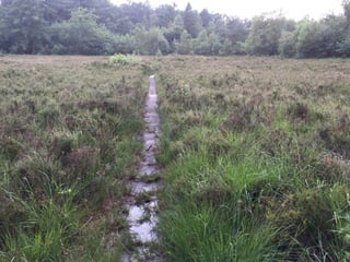 Herkenning?	
Uitnodiging	
	
[refugio]
	
Waarom	dit	verhaal	van		
 