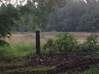 Herkenning?	
Uitnodiging	
	
[refugio]
	
Waarom	dit	verhaal	van		
 