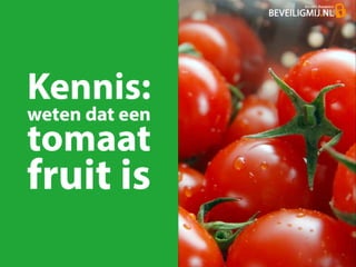 Presentatie BeveiligMij over ICT beveiliging