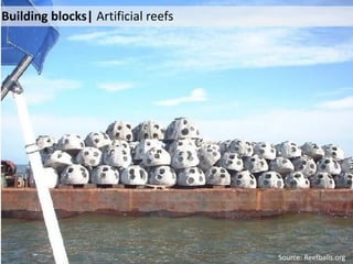 Building blocks| Artificial reefs
Source: Reefballs.org
 