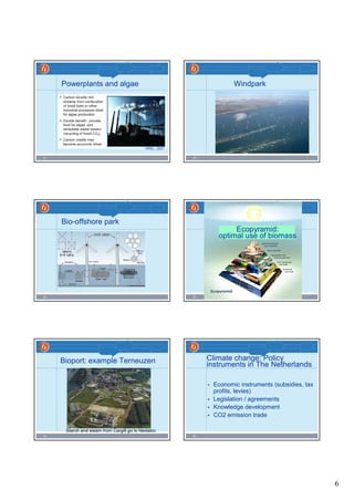 6
31
Powerplants and algae
NREL, 2007
32
Windpark
33
Bio-offshore park
34
Ecopyramid:
optimal use of biomass
35
Bioport: example Terneuzen
Starch and steam from Cargill go to Nedalco
36
Climate change: Policy
instruments in The Netherlands
• Economic instruments (subsidies, tax
profits, levies)
• Legislation / agreements
• Knowledge development
• CO2 emission trade
 