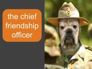 the chief friendship officer 