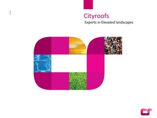 1
              Cityroofs
              Experts in Elevated landscapes




    Presentation
 