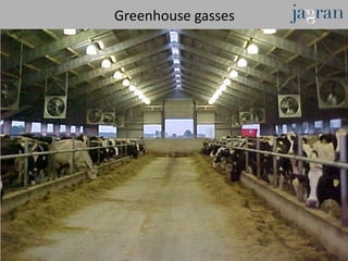 Greenhouse gasses
 