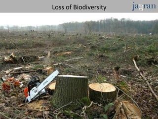 Loss of Biodiversity
 