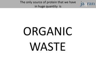The only source of protein that we have
          in huge quantity is




  ORGANIC
   WASTE
 