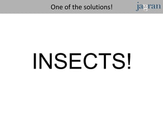 One of the solutions!




INSECTS!
 