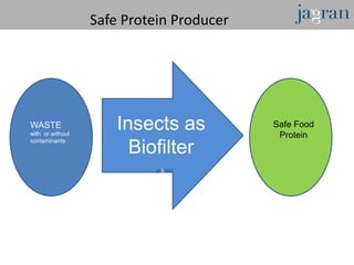 Safe Protein Producer




WASTE
with or without
                      Insects as          Safe Food
                                           Protein
contaminants
                        Biofilter
 
