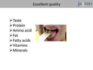 Excellent quality


Taste
Protein
Amino acid
Fat
Fatty acids
Vitamins
Minerals
 