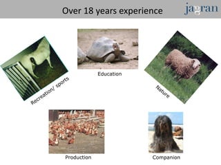 Over 18 years experience




             Education




Production               Companion
 