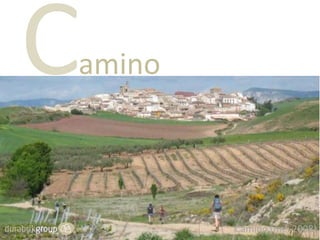 amino

Camino (mei 2008)

 