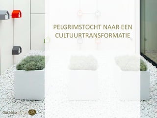 PELGRIMSTOCHT NAAR EEN
CULTUURTRANSFORMATIE

 