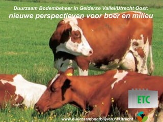 Duurzaam Bodembeheer in Gelderse Vallei/Utrecht Oost:
nieuwe perspectieven voor boer en milieu




                   www.duurzaamboerblijven.nl/Utrecht
 
