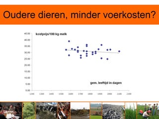 Oudere dieren, minder voerkosten?
 