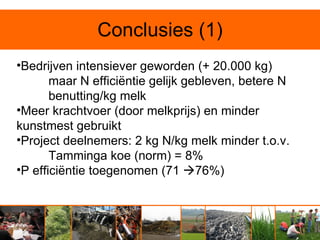 Conclusies (1)
•Bedrijven intensiever geworden (+ 20.000 kg)
       maar N efficiëntie gelijk gebleven, betere N
       benutting/kg melk
•Meer krachtvoer (door melkprijs) en minder
kunstmest gebruikt
•Project deelnemers: 2 kg N/kg melk minder t.o.v.
       Tamminga koe (norm) = 8%
•P efficiëntie toegenomen (71 76%)
 