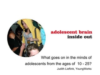 What goes on in the minds of adolescents from the ages of  10 - 25? Judith Lieftink, YoungWorks 