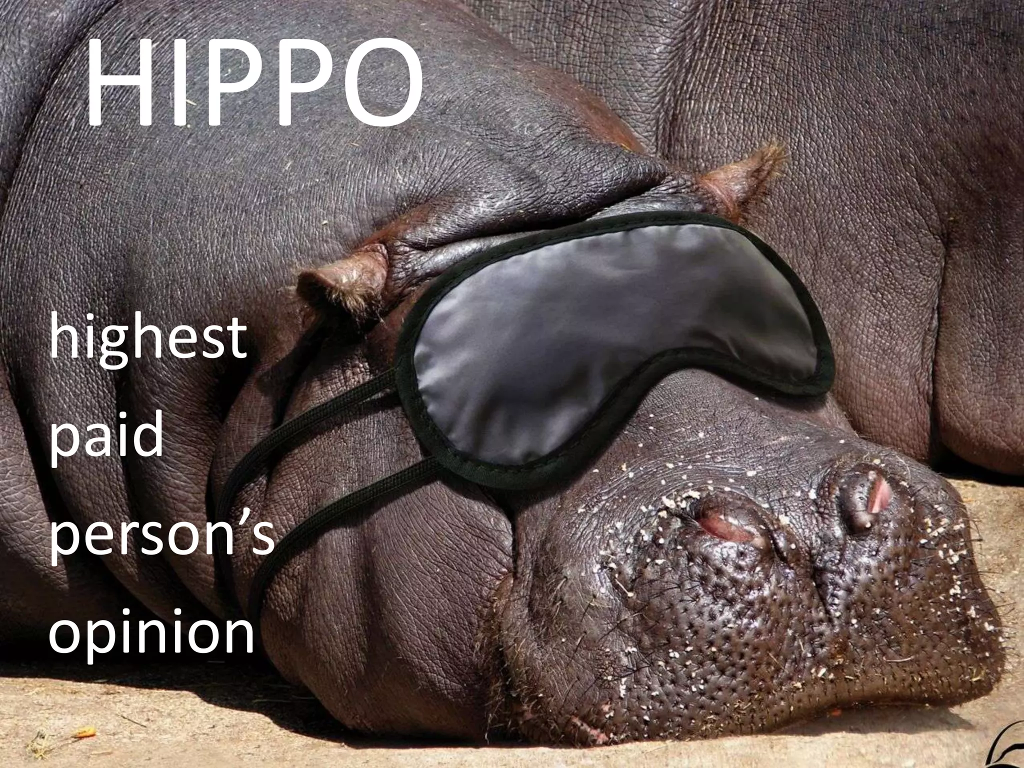 HIPPO
highest
paid
person’s
opinion
 