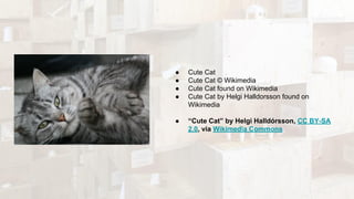● Cute Cat
● Cute Cat © Wikimedia
● Cute Cat found on Wikimedia
● Cute Cat by Helgi Halldorsson found on
Wikimedia
● “Cute Cat” by Helgi Halldórsson, CC BY-SA
2.0, via Wikimedia Commons
 