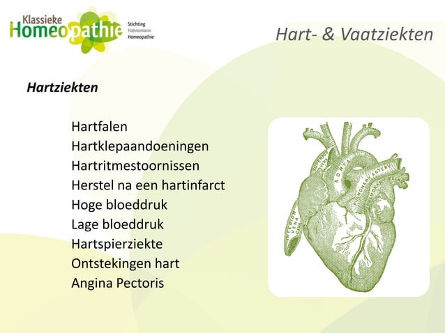 Presentatie hart & vaatziekten | PPT