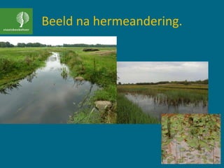 Beeld na hermeandering.
 