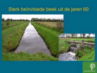 Sterk beïnvloede beek uit de jaren 60
 