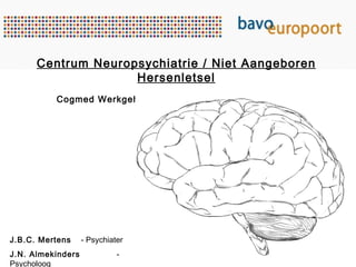 Centrum Neuropsychiatrie / Niet Aangeboren Hersenletsel Cogmed Werkgeheugentraining: Nieuwe kans voor mensen met NAH? J.B.C. Mertens   - Psychiater J.N. Almekinders   - Psycholoog 