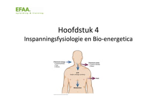 Hoofdstuk 4
Inspanningsfysiologie en Bio-energetica

 